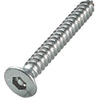 10 X 1 1/2" Tamper Resistant S.S.S Pin Hex Self Tapping Csk Screws