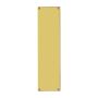M39 305Mm X 70Mm Polished Brass Victorian Finger Plate thumbnail