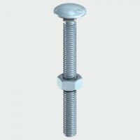 Carriage Bolts & Hex Nuts M10 x 100mm (Bag of 2)