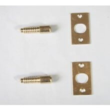 8606 Electro Brass Hinge Bolts